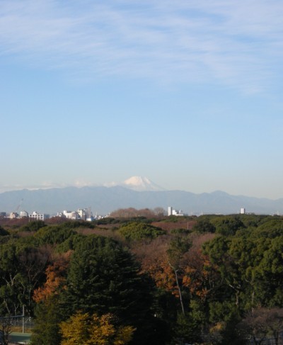 富士.jpg